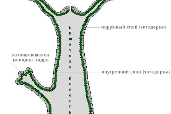 Что продают на сайте кракен