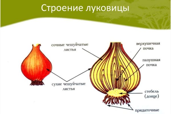 Кракен даркнет тор