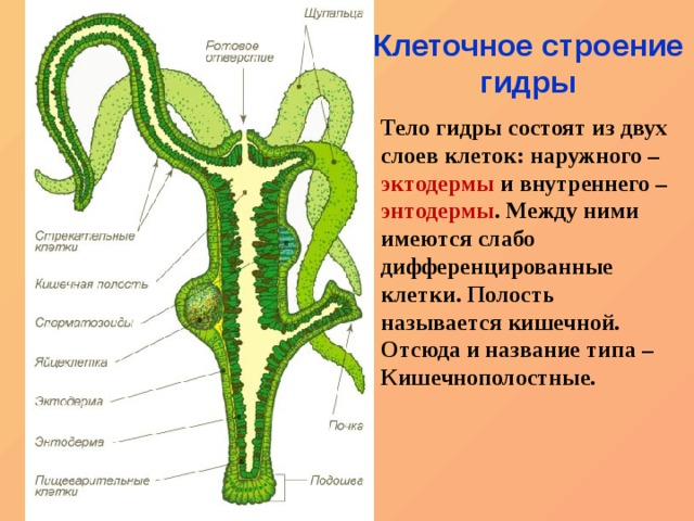 Нарко маркетплейсы