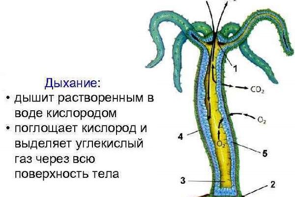 Кракен даркнет 2krnmarket