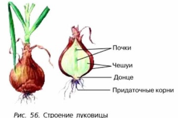 Кракен зеркала официальные